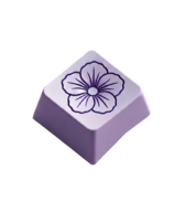Hibiskeys Logo
